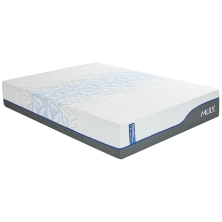 ChiroPro 3.0 13" Plush Queen