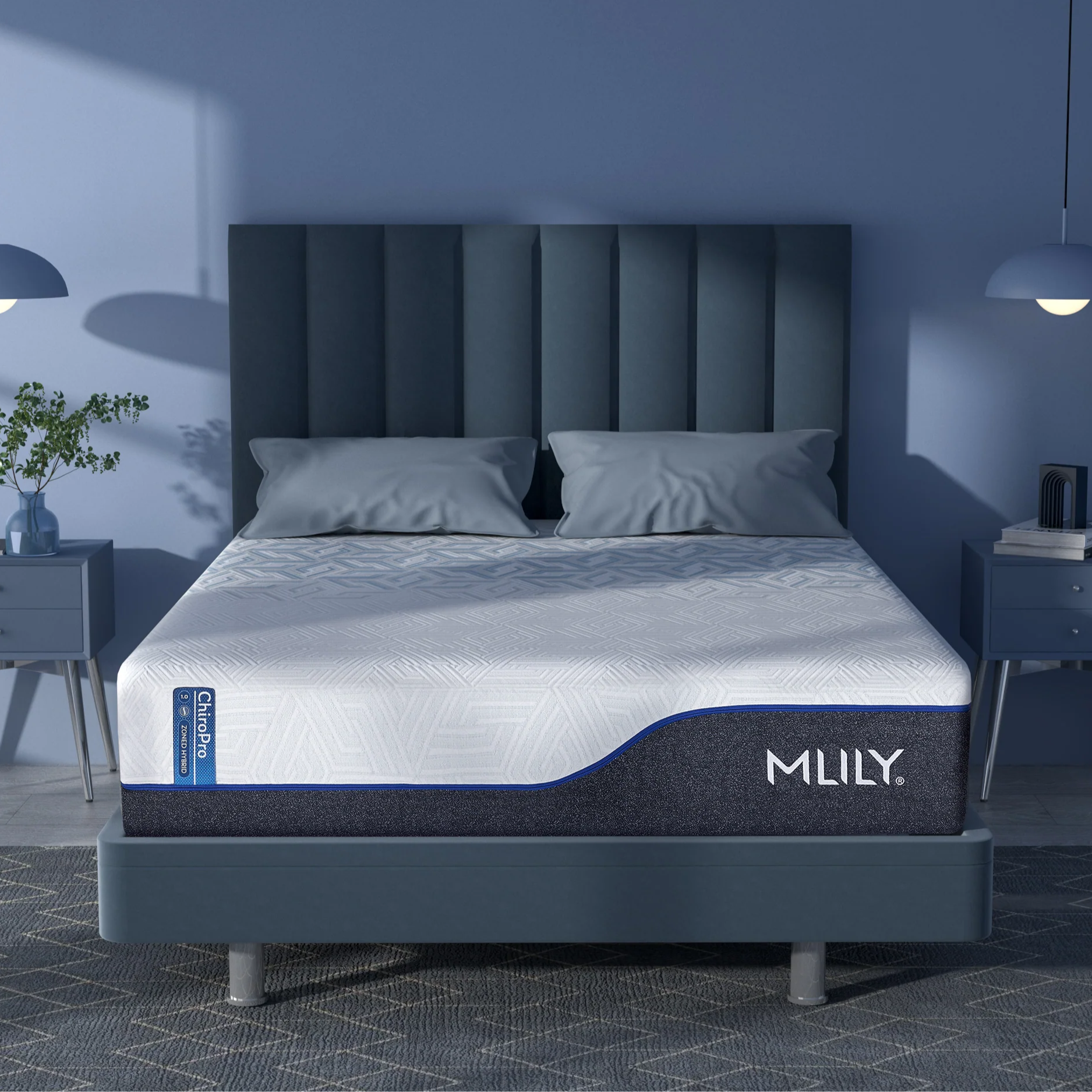 Collection Thumbnail