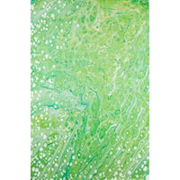 2'3"x7'6" Green Rug