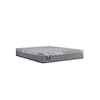 Sealy Crown Jewel H4 Fourth & Park Firm Twin Mattress