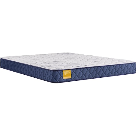 Twin Long Foam Mattress