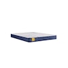 Sealy Golden Elegance F0 Wyatt Twin Mattress