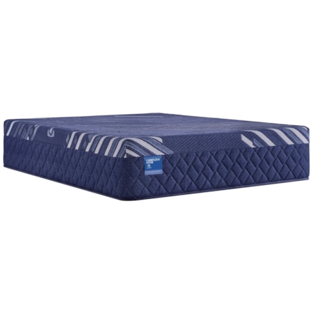 Queen Mattress