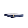 Sealy Golden Elegance S2 Stately  Firm Tight Top Queen Mattress