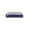 Sealy Carrington Chase H6 Medium King Mattress