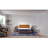 Sealy Carrington Chase F0 King Mattress