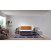 Sealy Carrington Chase F0 Queen Mattress