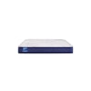 Sealy Carrington Chase F0 Twin Mattress