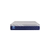 Sealy Carrington Chase H4 Firm Queen Mattress