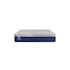 Sealy Carrington Chase H4 Firm Double Mattress