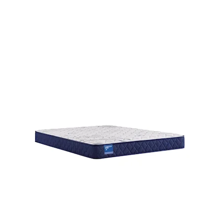 Queen Foam Mattress