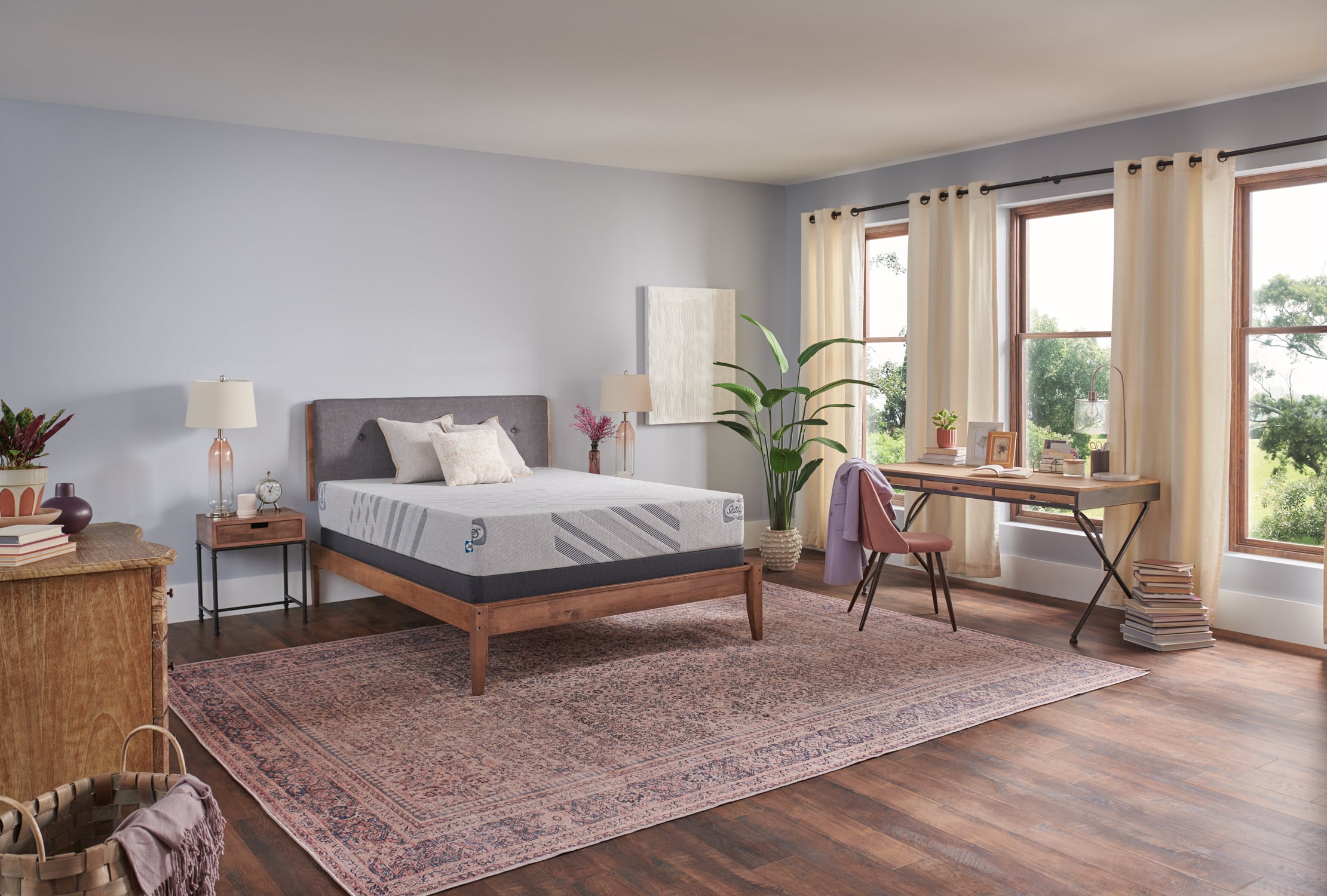 Sealy Crown Jewel F2 Second & Park Medium CA King Sealy- Second & Park 10" Medium Foam