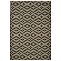 3' 7" X  5' 6" Rectangle Rug