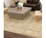 Karastan Rugs Cabrillo 8' X 10' Rug