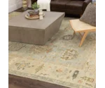 Karastan Rugs Cabrillo 8' X 10' Rug