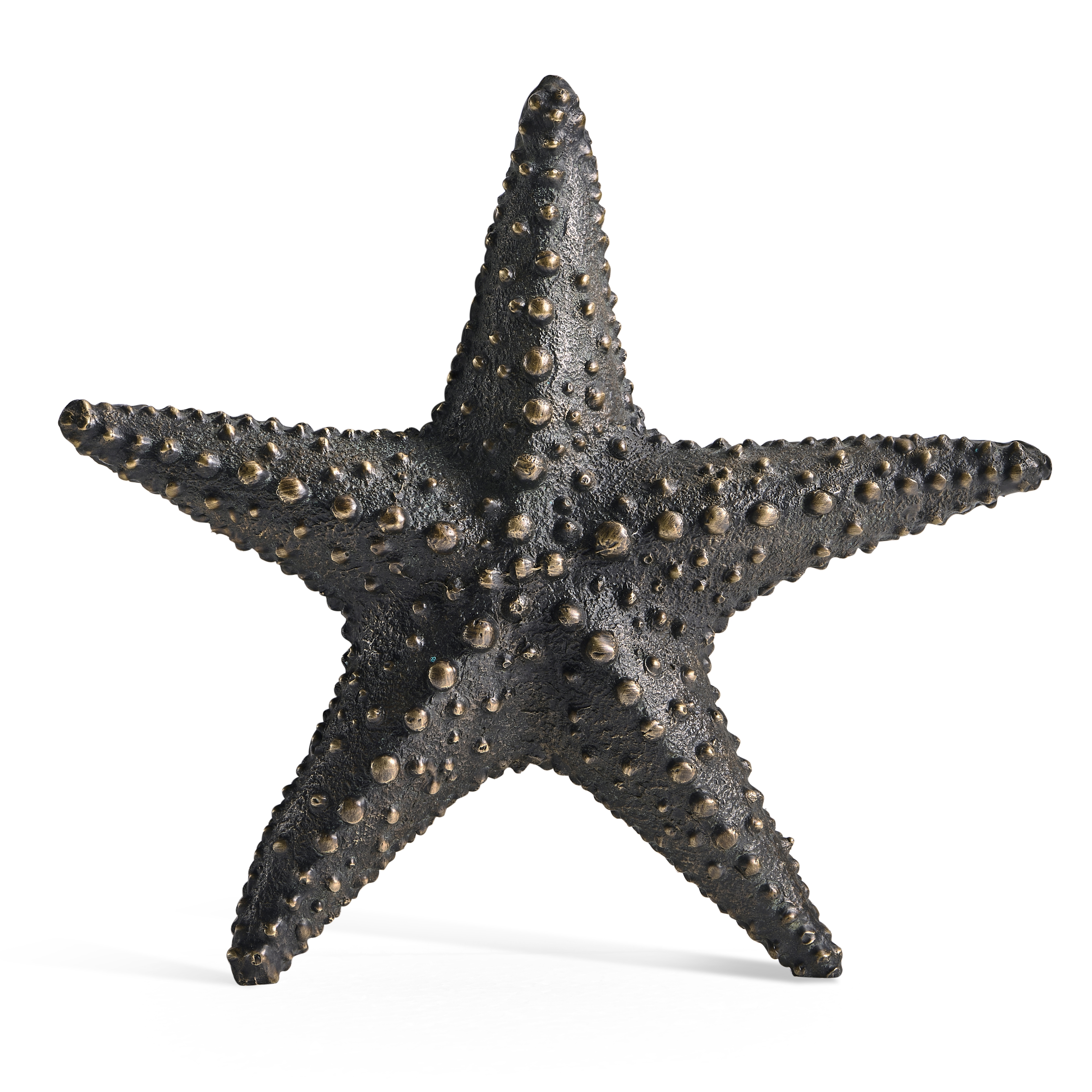 Dark Bronze Starfish