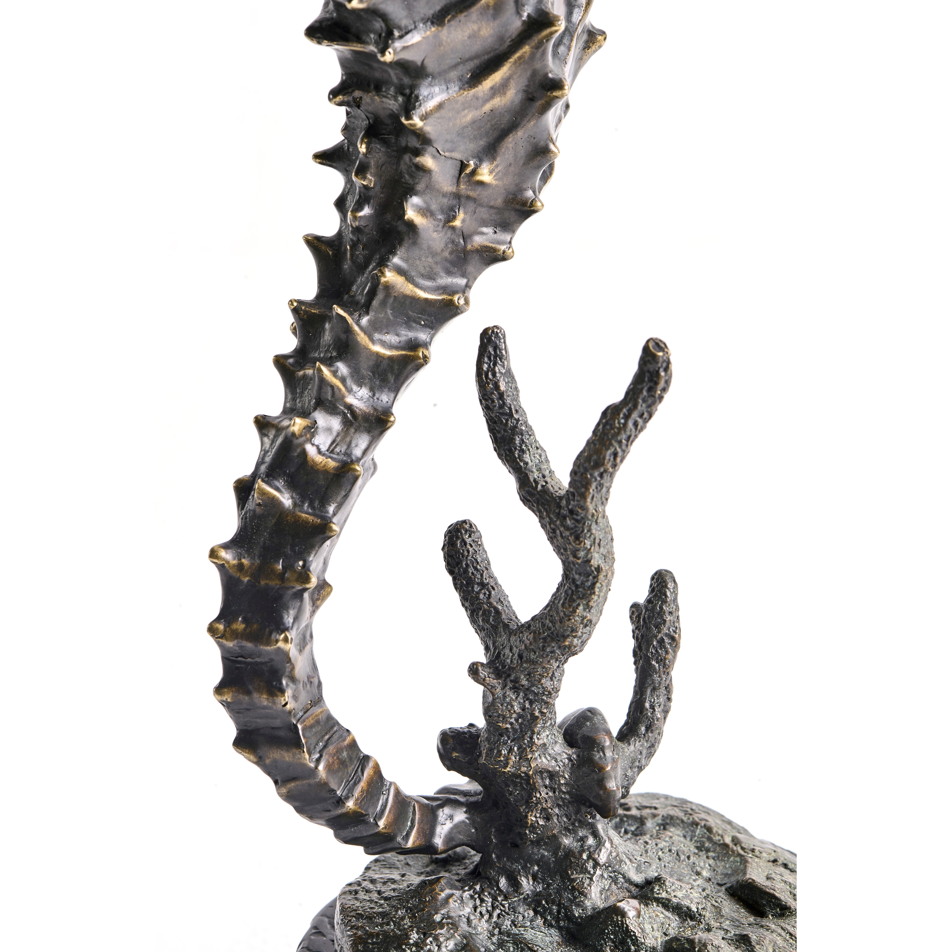 Jonathan Charles JC Traditional Antique Dark Bronze Seashorse