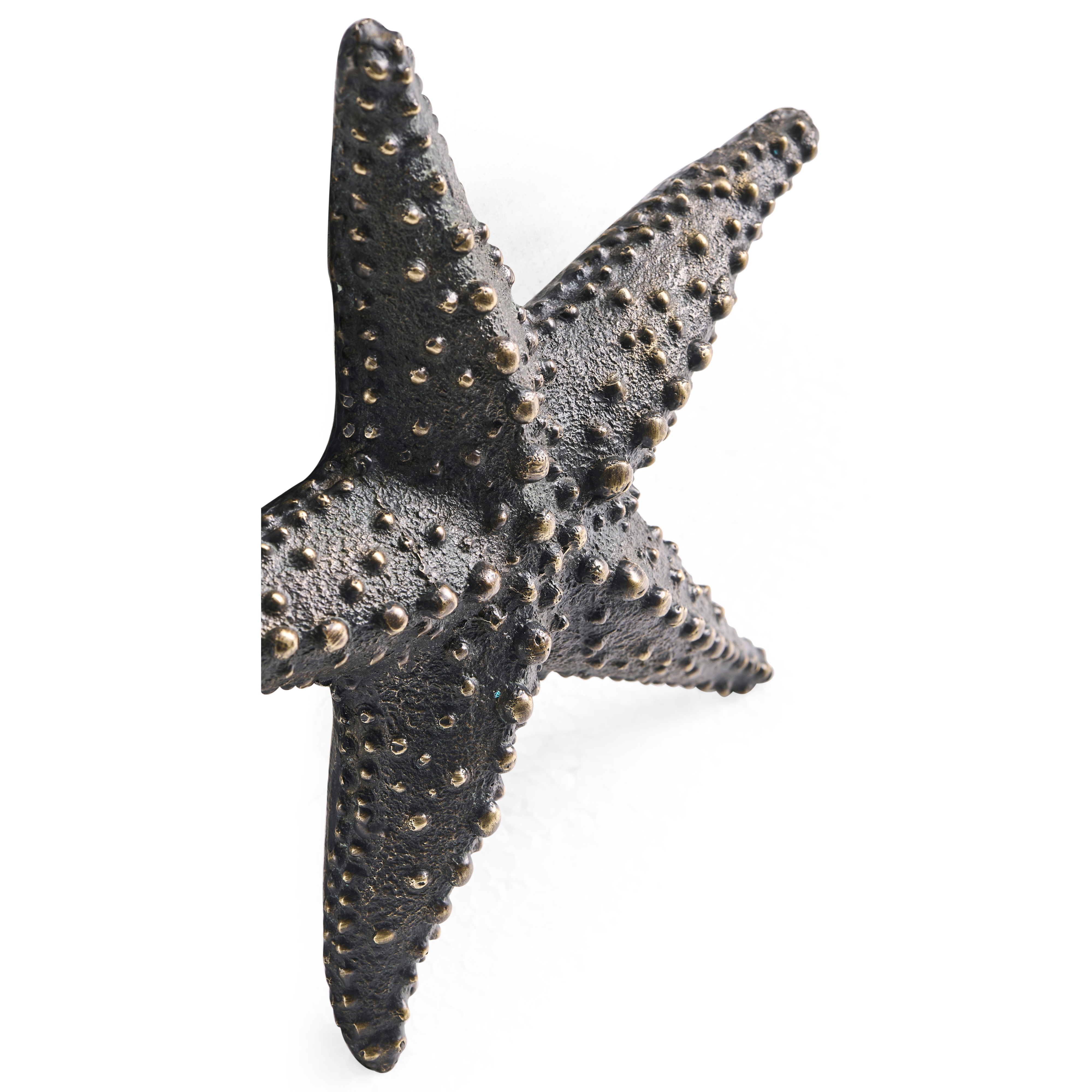 Dark Bronze Starfish