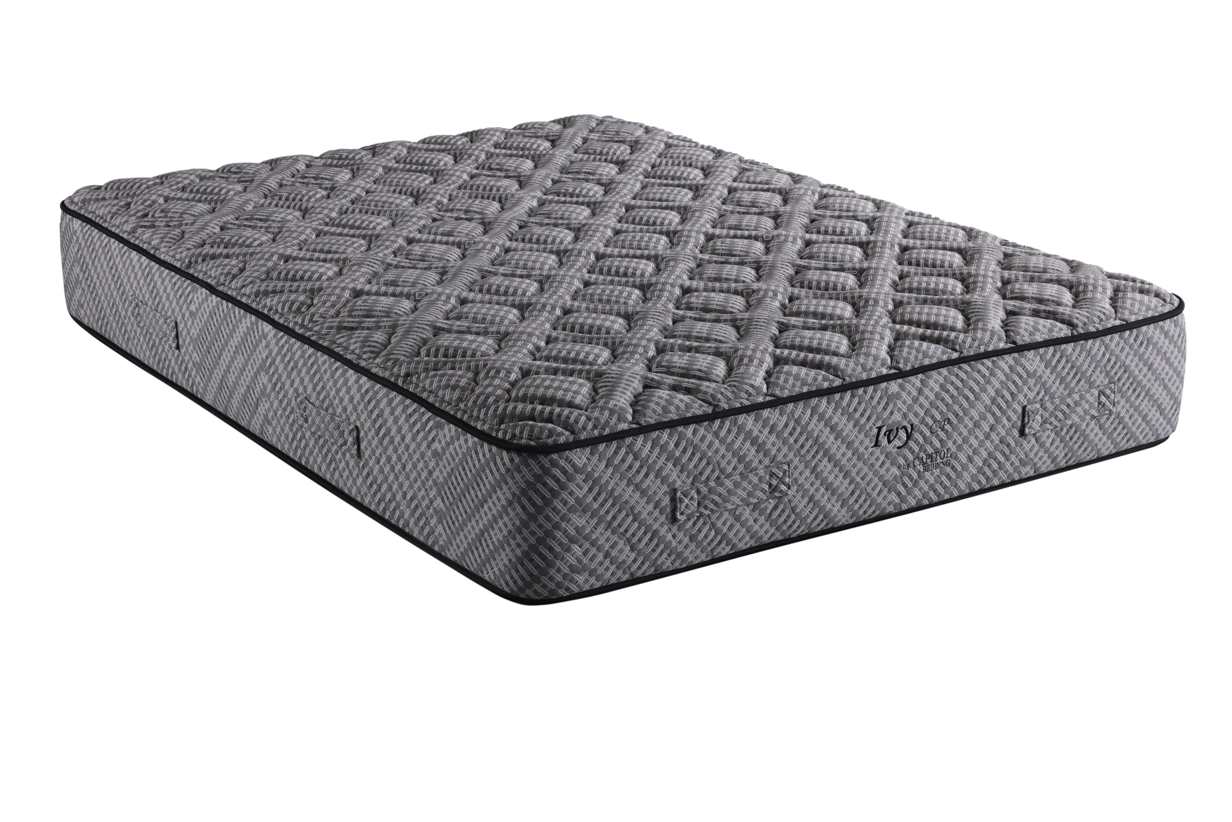 Capitol Bedding Ivy Plush CB5113M Queen Plush Serene Foam Mattress