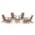 Teak