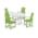 Lime / White
