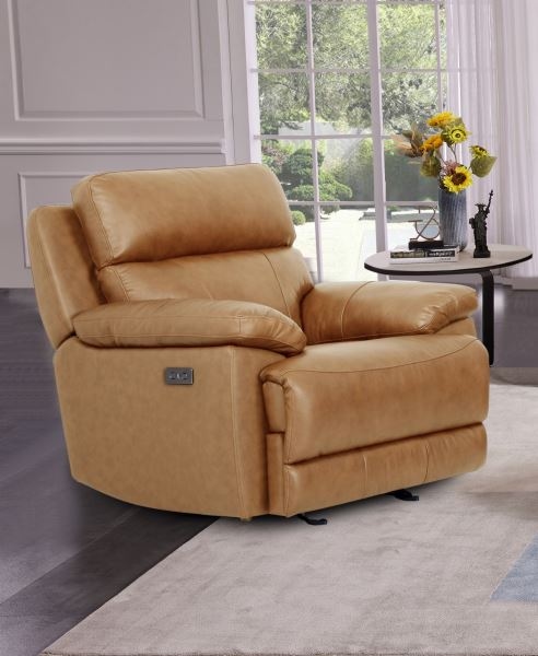 Power Leather Recliner