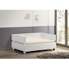 Progressive Furniture Marshmallow Pet Bed W/Cushion