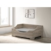Progressive Furniture ZoZo Pet Bed W/Cushion