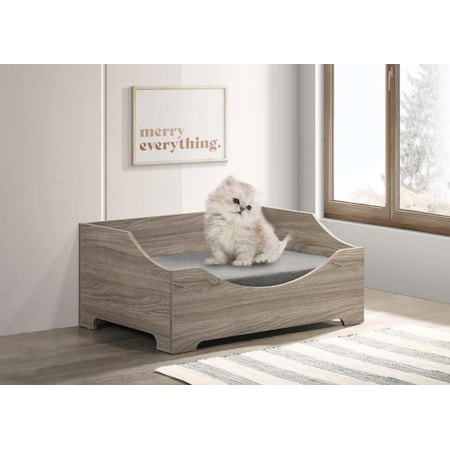 Pet Bed W/Cushion