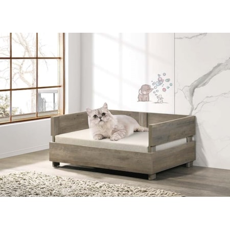 Pet Bed W/Cushion