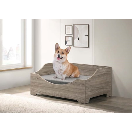 Pet Bed W/Cushion