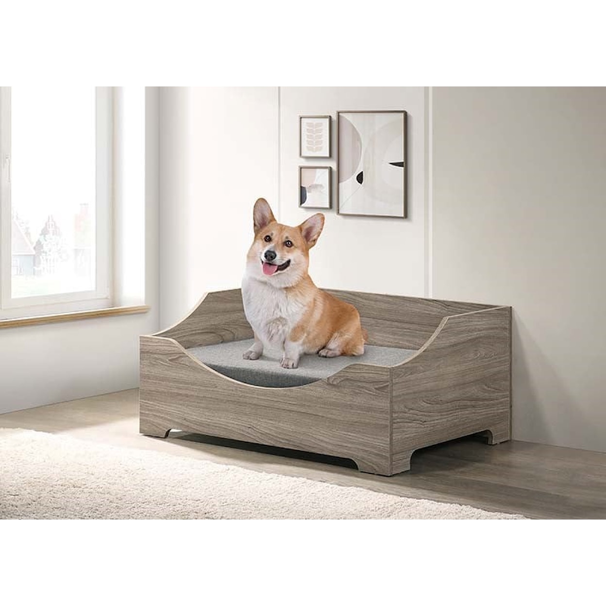 Progressive Furniture ZoZo Pet Bed W/Cushion