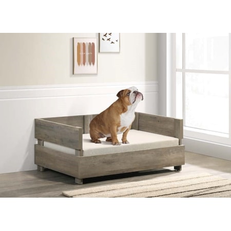 Pet Bed W/Cushion