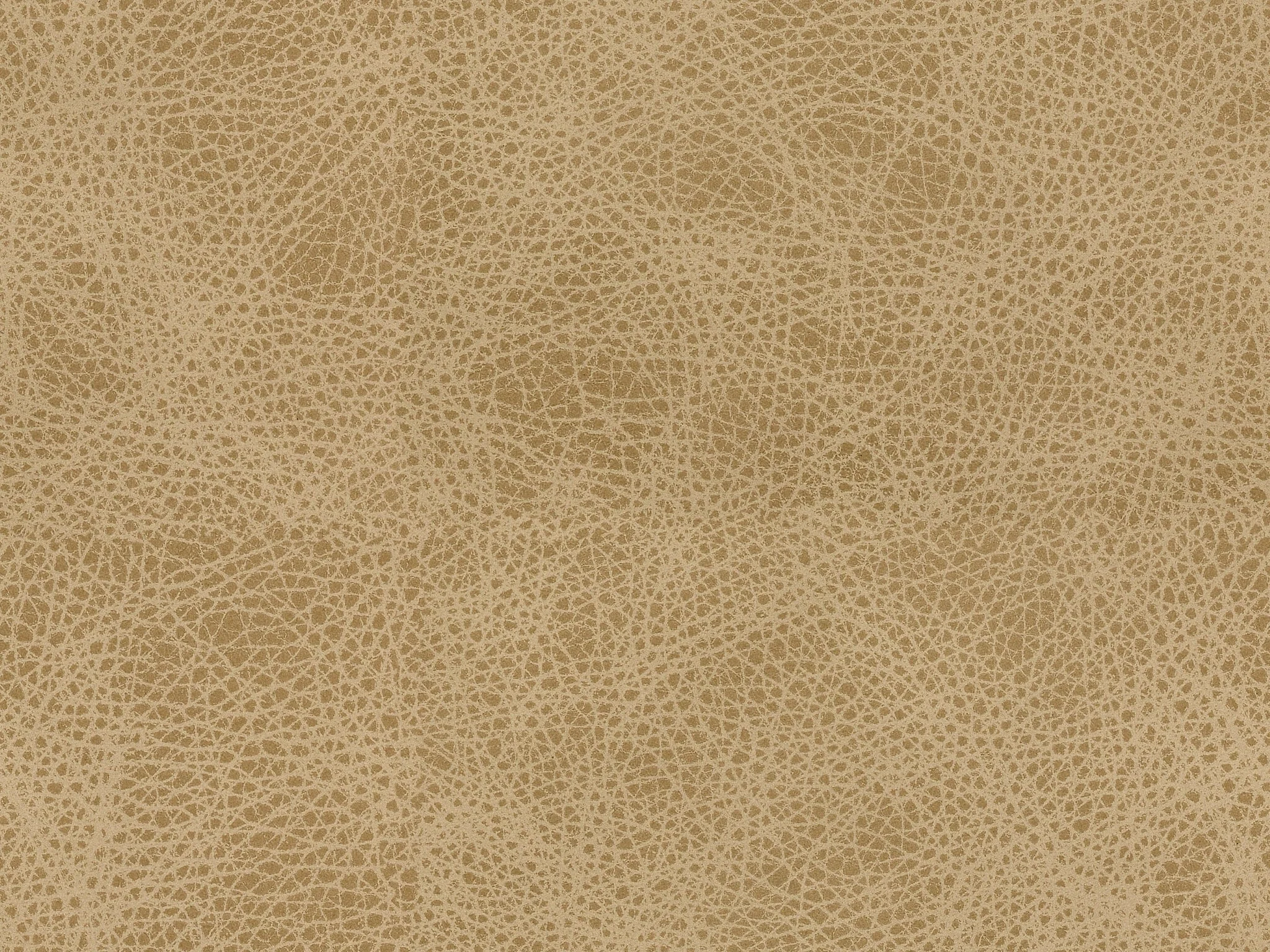 L9 Custom Design Options (l9customdesignoptions) by Craftmaster