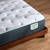 Beautyrest Beautyrest® Harmony Lux™ Anchor Island 13.5" Plush Mattress - Twin XL