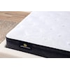 Serta Serta Adoring Night 11" Plush Euro Top Mattress - Twin XL