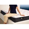 Serta Serta Adoring Night 10.5" Plush Mattress - Twin XL