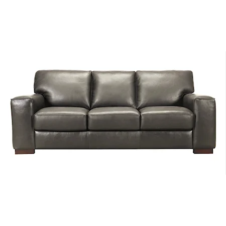 Contemporary Sofa with Track Arms