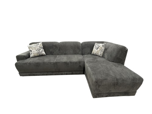 2 Piece Sectional