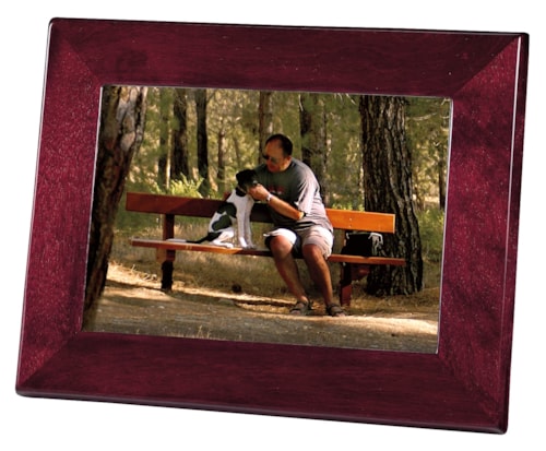 Rosewood Frame II