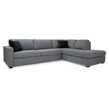 2 Piece Sectional with Queen Sofabed