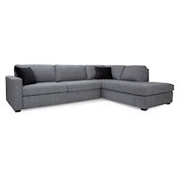 2 Piece Sectional with Queen Sofabed