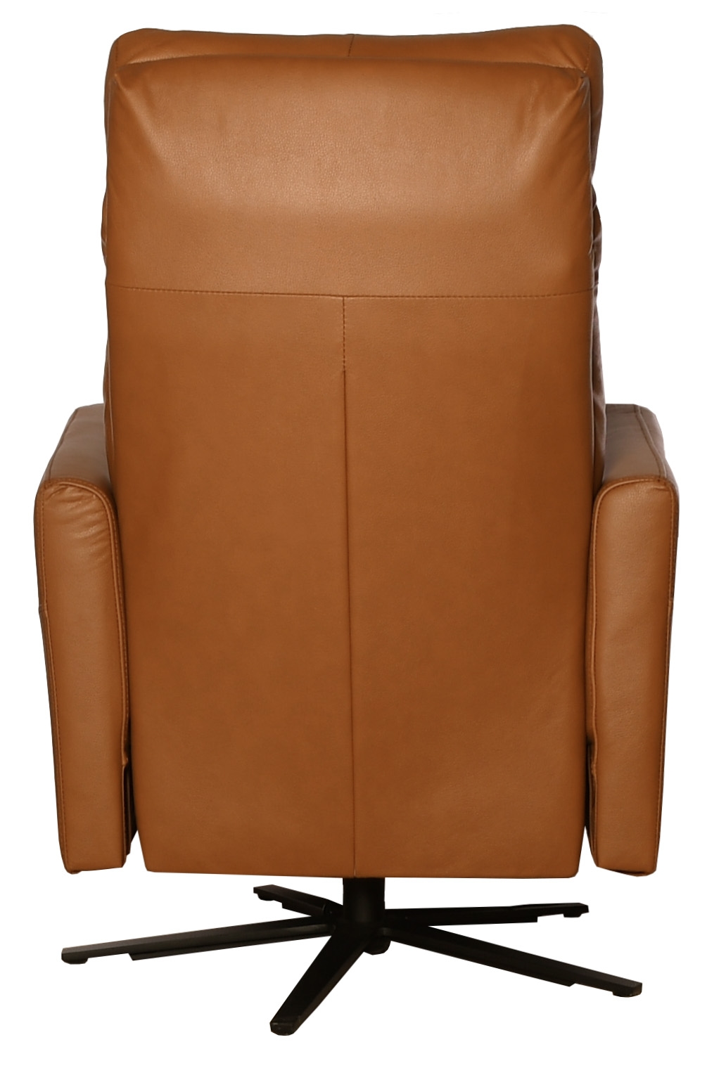 Tannery Furniture European European Power Swivel Recliner