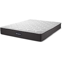 Queen Mattress (RV Size)