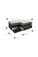 Elegance Mattress Elegance Firm King Elegance Firm Matt & Lo-Pro Box