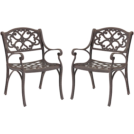 Set of 2 Outdoor Arm Chairs