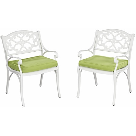 Set of 2 Outdoor Arm Chairs