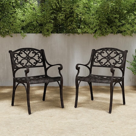 Set of 2 Outdoor Arm Chairs