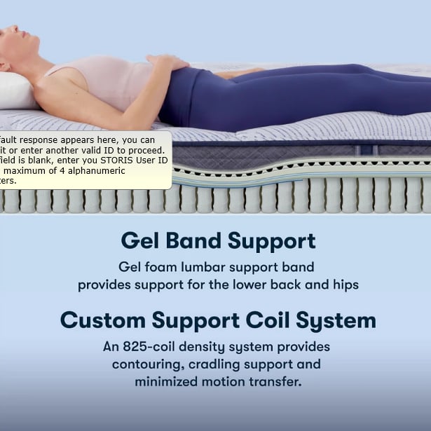 Serta Perfect Sleeper Best Day 301723QM Mattresses Furniture and