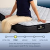 Serta Perfect Sleeper Best Day Mattresses